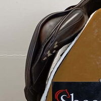 a351ffd2a69c7e1d02e11b3dbf4fe6f9.jpg - 10