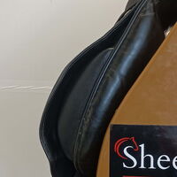 a78860b61b0d182e0f34d4204c4e67ca.jpg - 12