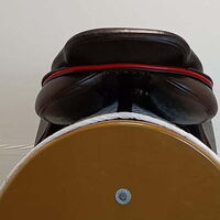 e774fe1fd84fe1f4c93583468111b962.jpg - 5